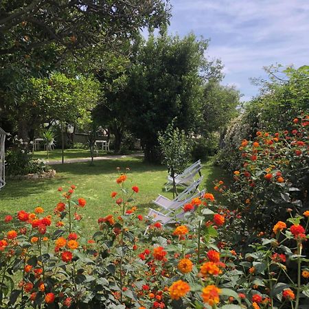 Villa Caterina B&B Procida Eksteriør billede