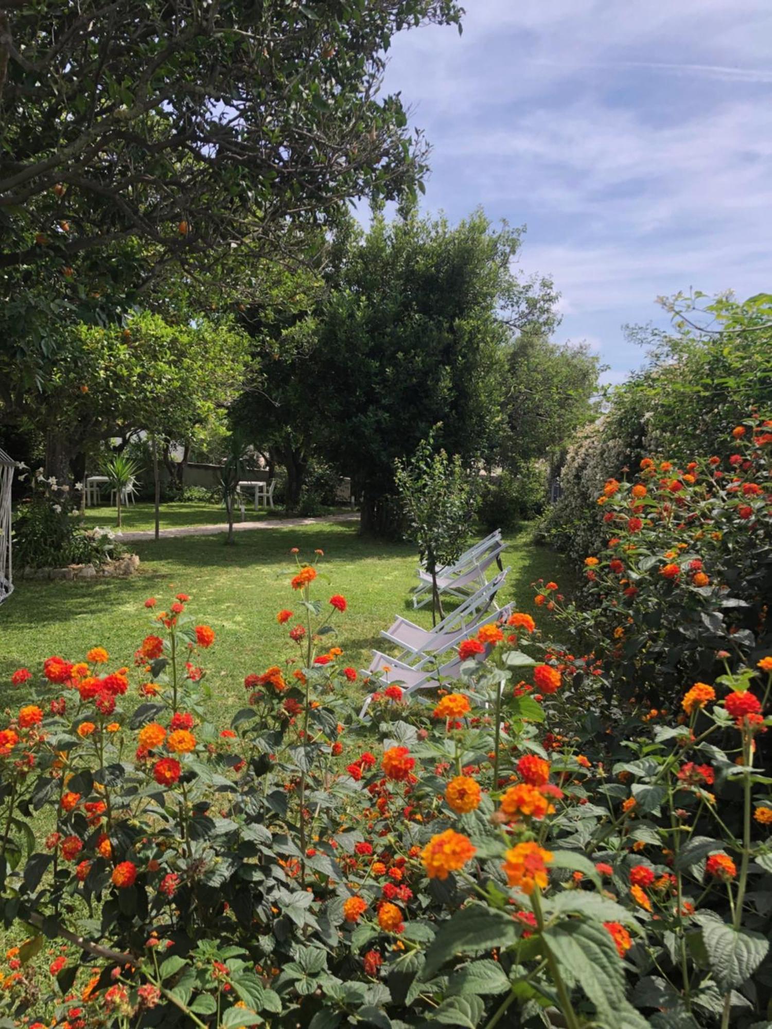 Villa Caterina B&B Procida Eksteriør billede